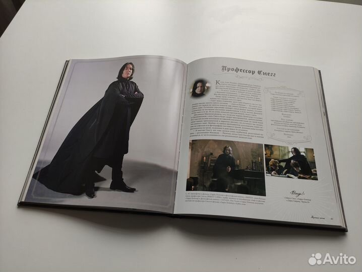 Гарри Поттер. Герои. Маги и Маглы