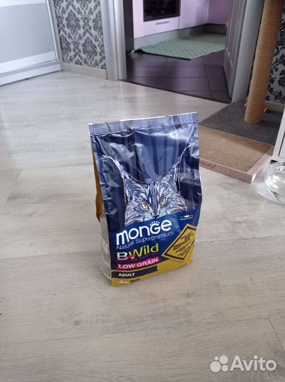 Monge Bwild для взрослых кошек, низкозерновой