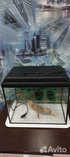 Аквариум