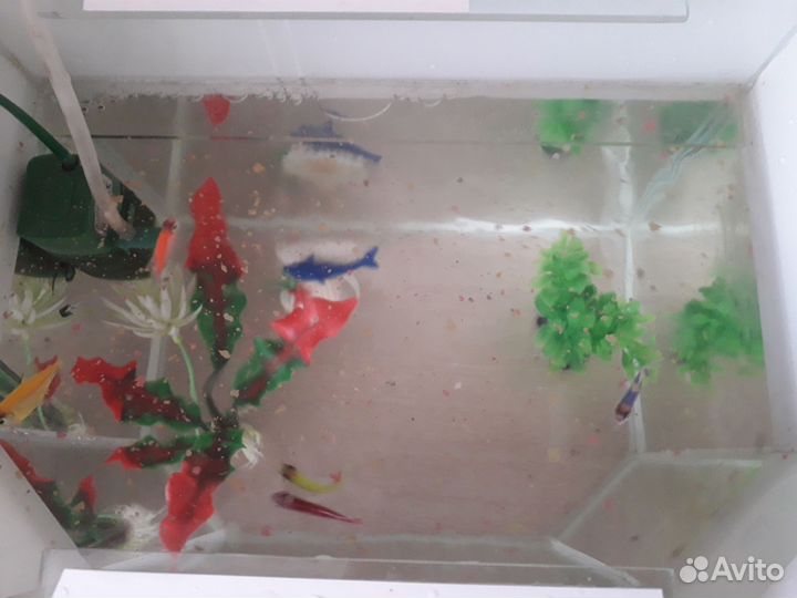 Аквариум