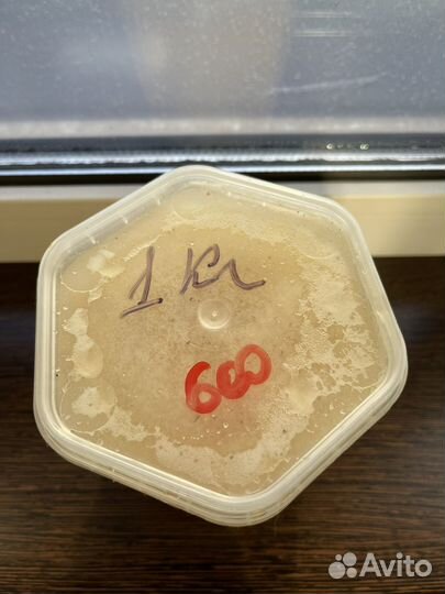 Свежий натуральный мёд 2023 года с личной пасеки