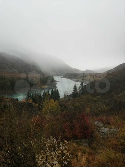 Участок 4,5 га (СНТ, ДНП)