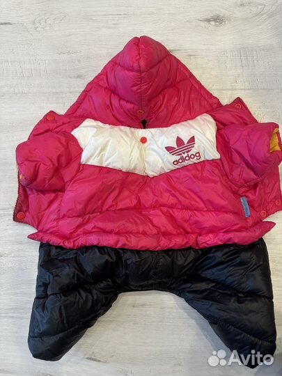 Куртки для собак мелких пород