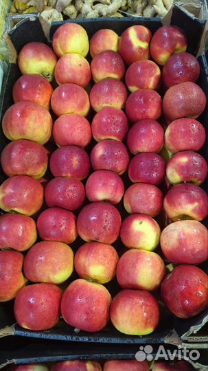 Овощи фрукты оптом с фуд сити+доставка