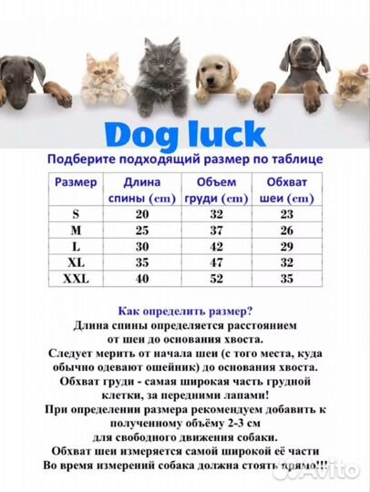 Одежда для средних собак зимняя