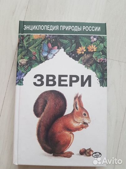 Справочники. Звери. Словарь русского языка
