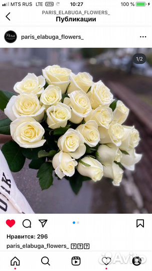 Роза анабель