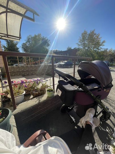 Коляска anex cross 3 в 1 e/type