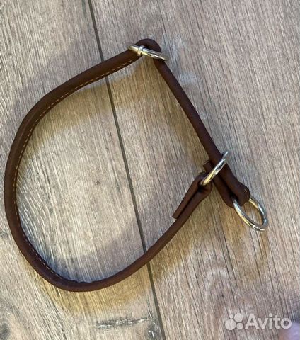 Ошейник для собак