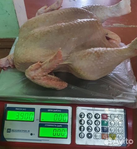 Цыплята бройлера привитые на 21 февраля объявление продам