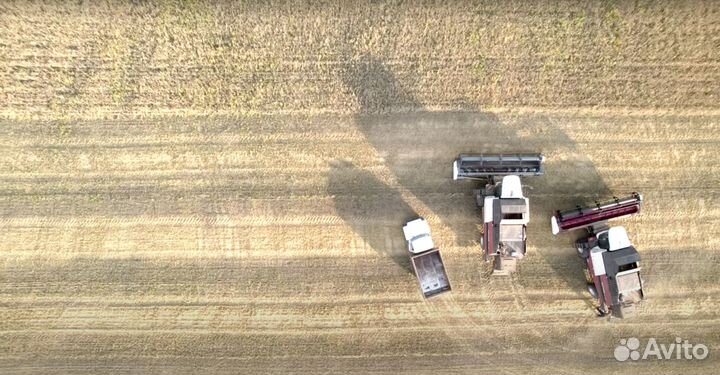 Продается сельскохозяйственное предприятие 7000 га