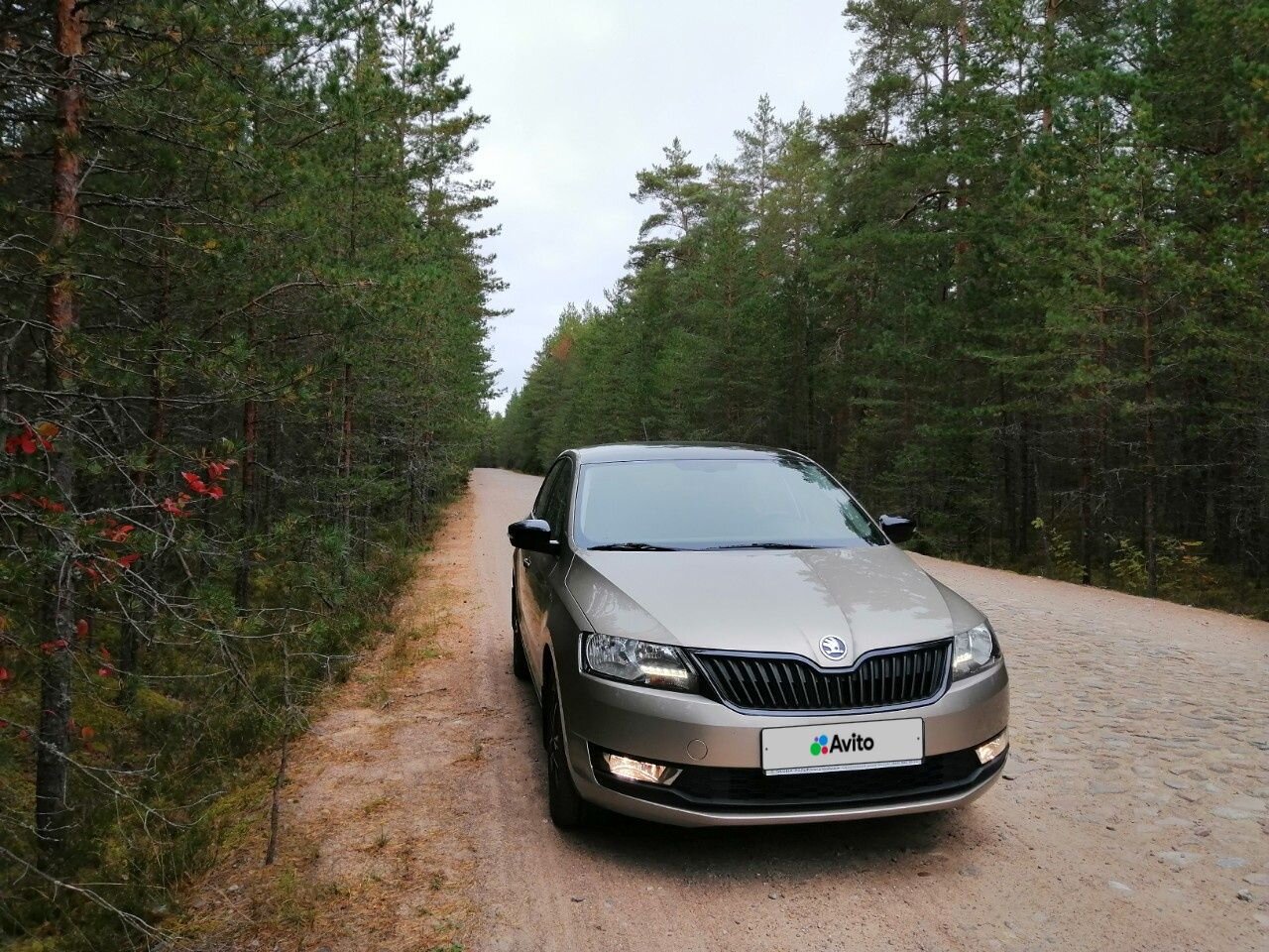 Skoda Rapid: фото владельца