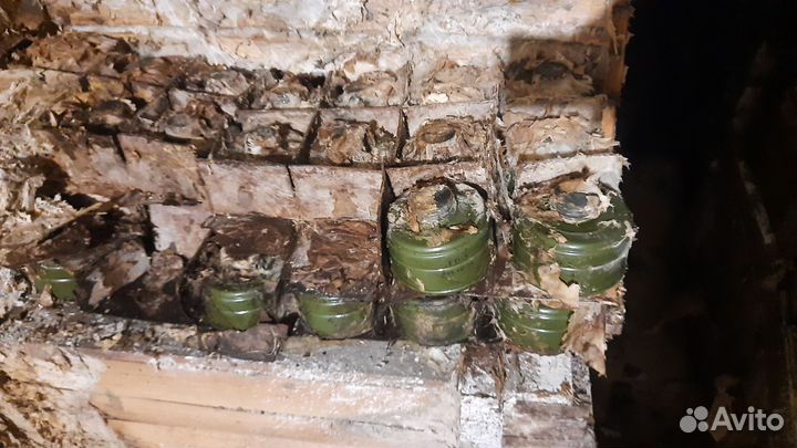 Противогаз гп 5