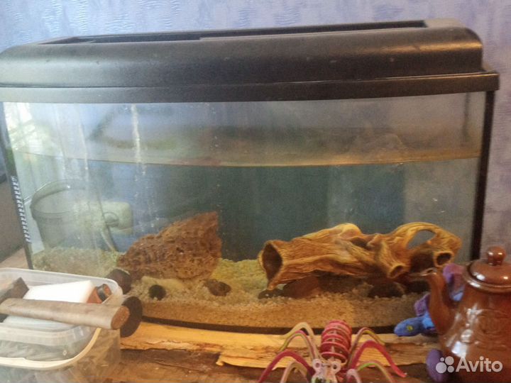 Аквариум для рыб