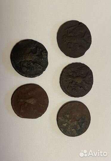 Деньга 1743, 1746,1748,1749,1750