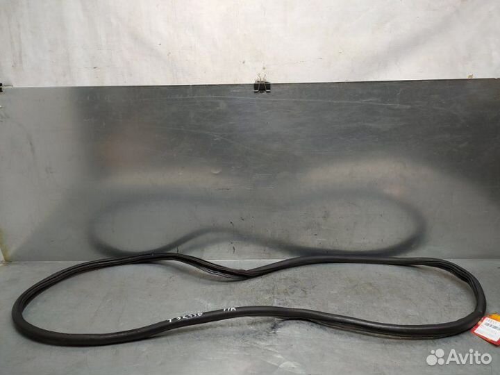 Уплотнитель (внутри) Skoda Octavia (A5 1Z)