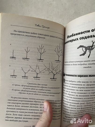 Книга Сад без нервов Траннуа П