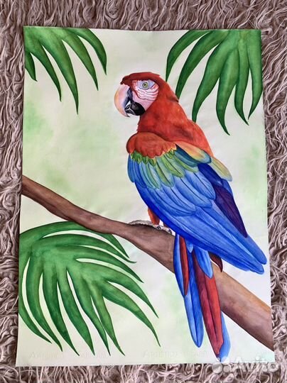 Картина «Тропический попугай», 50*70 см, акварель