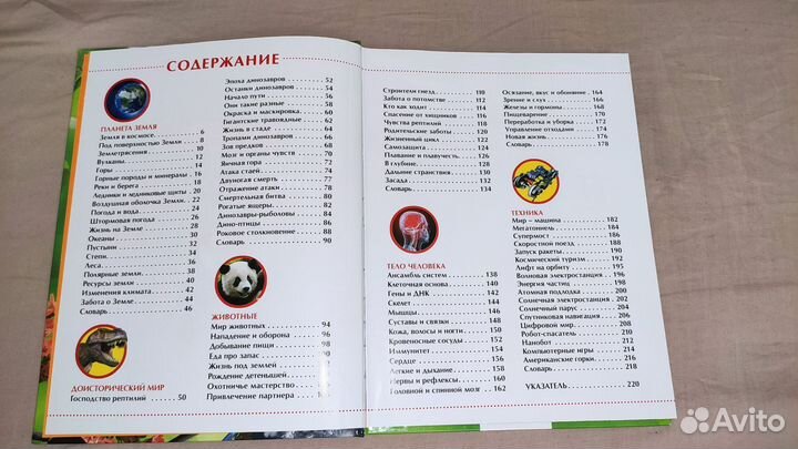 Детская энциклопедия, детская книга