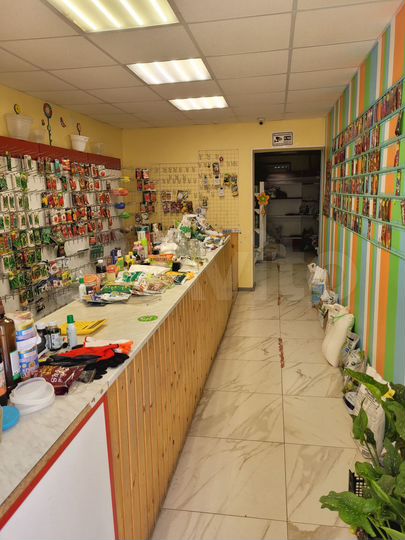 Торговая площадь, 46 м²
