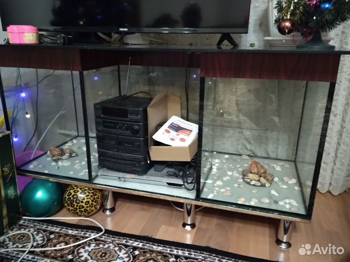 Аквариум