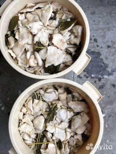 Грибы валуй марин-ый, груздь соленный