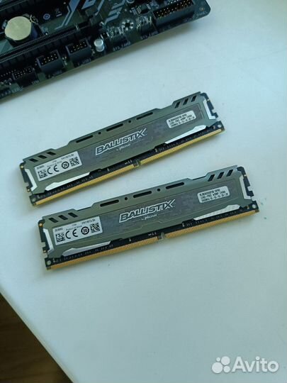 Оперативная память Crucial Ballistix Sport LT BLS8