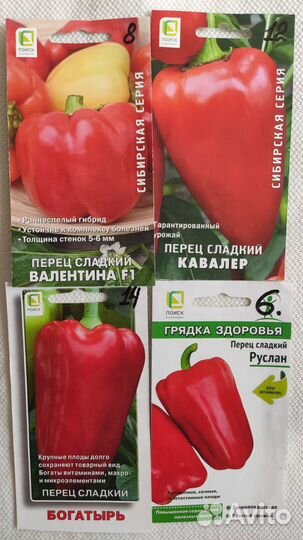 Рассада сортового перца