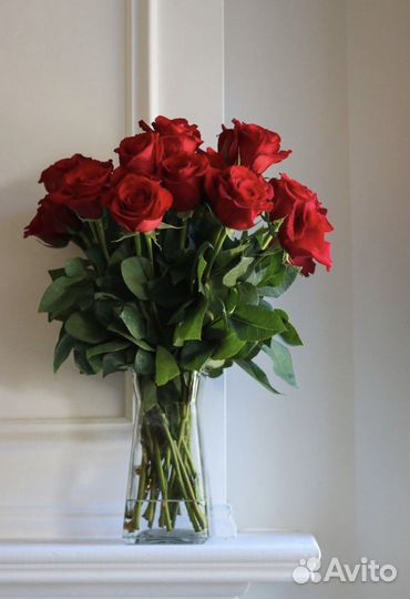Розы красные с доставкой Омск