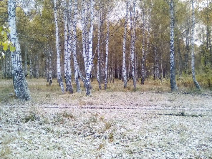 Участок 15 сот. (ИЖС)