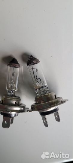 2 лампы h7