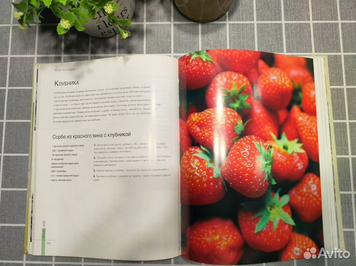 Едим Дома круглый год, Юлия Высоцкая