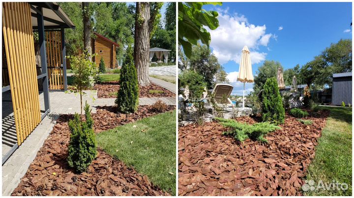 Кора лиственницы