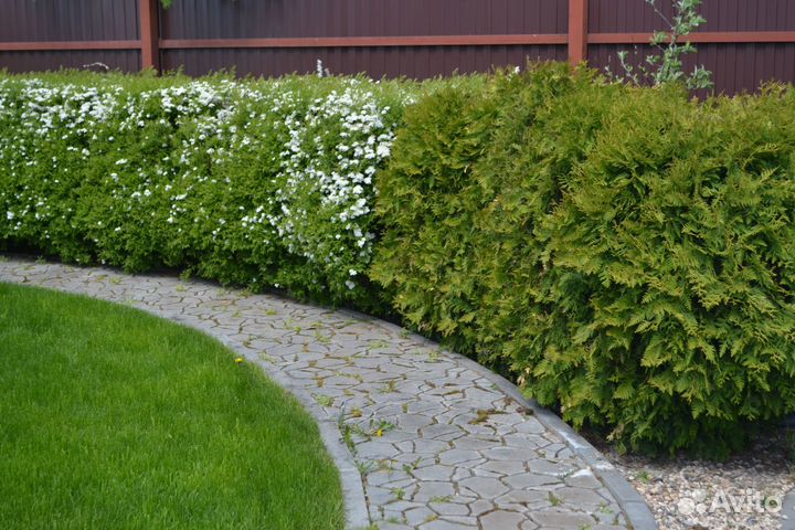 Ландшафтный дизайн, озеленение и благоустройство