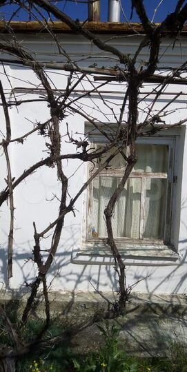 Дом 55 м² на участке 4 сот.