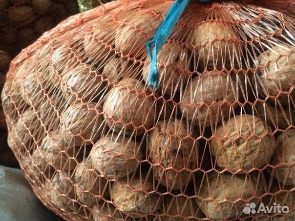 Грецкий орех