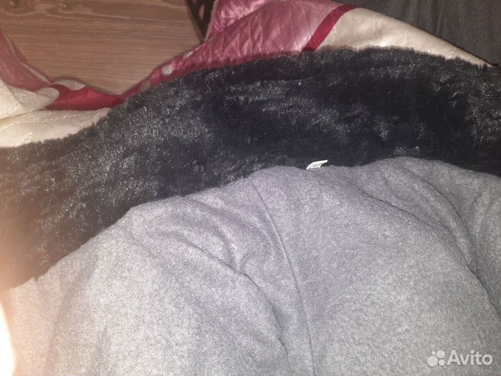 Одежда для средних собак