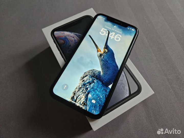 iPhone Xr, 64 ГБ