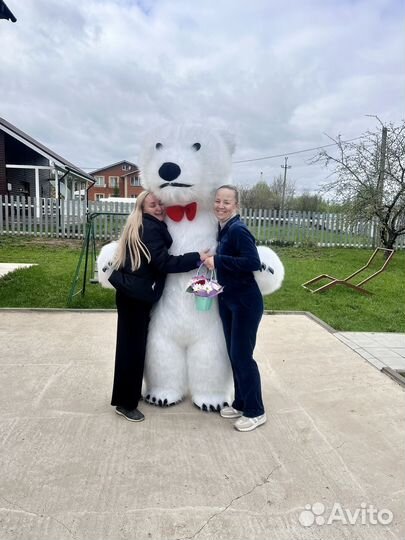 Белый мишка поздравление