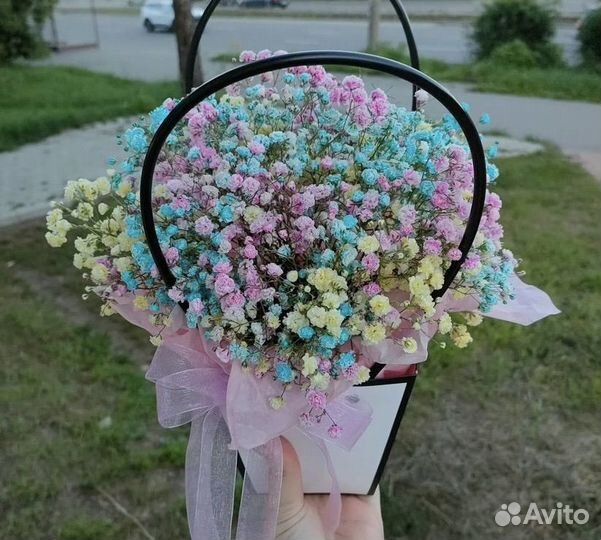 Радужная гипсофила