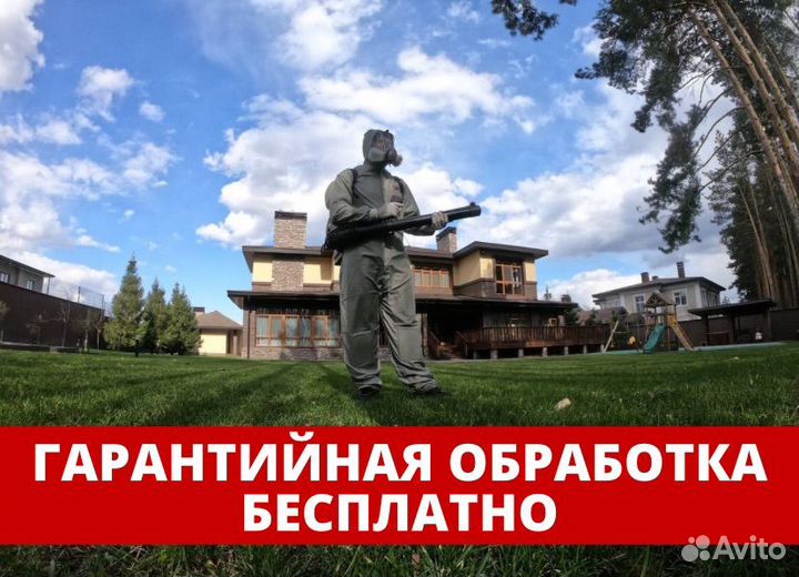 Уничтожение тараканов, клопов: бесплатный выезд