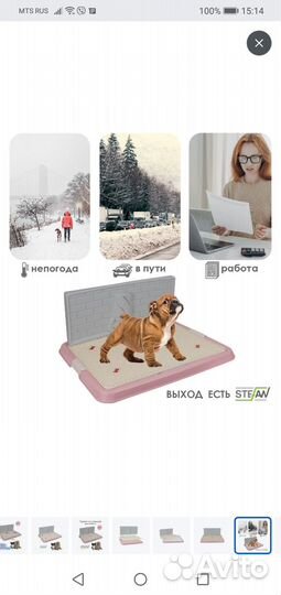 Лоток туалет для собак