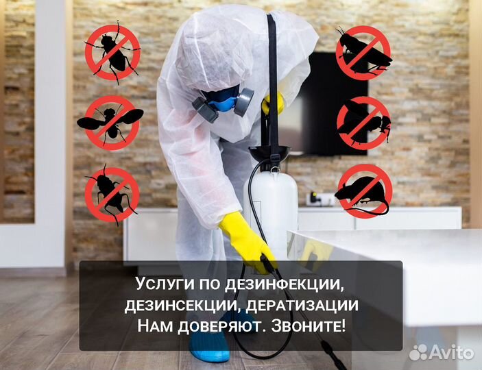 Уничтожение клопов, Кротов Клещей Комаров Ос Мышей