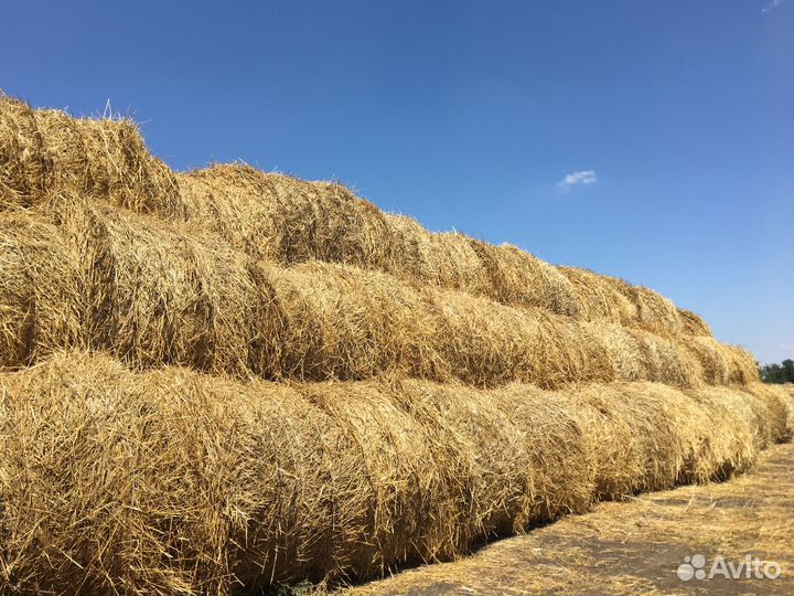 Солома в тюках