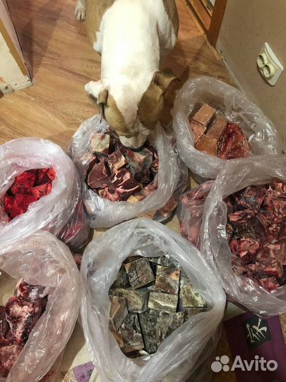 Корма для животных