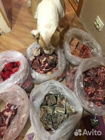 Корма для животных