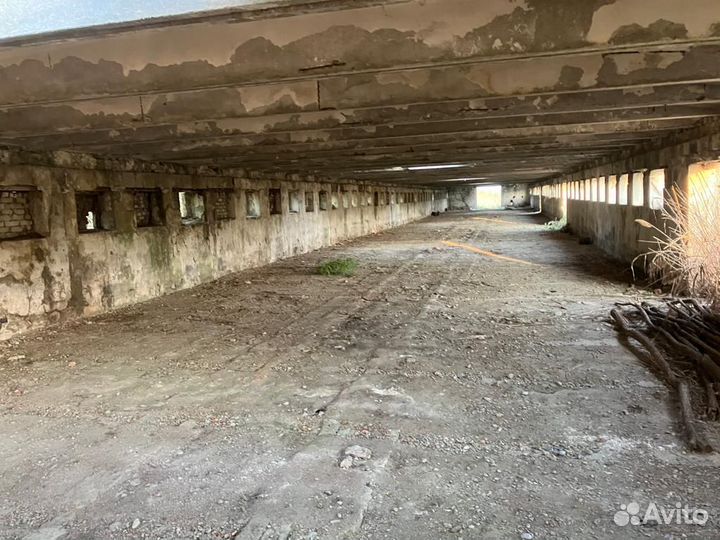 Животноводческая ферма продаю