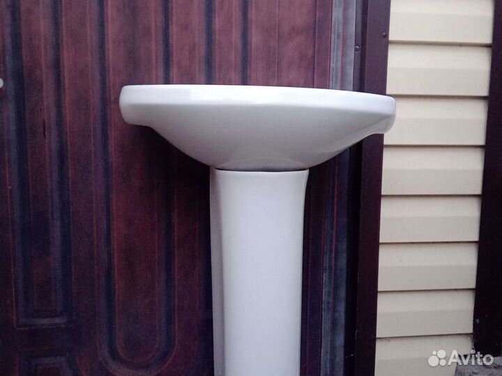 Раковина тюльпан