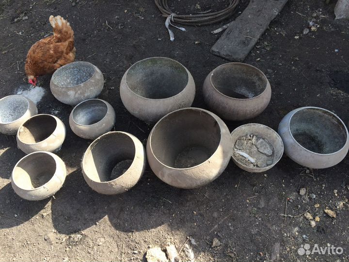 Чугунок чугунный