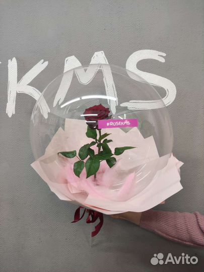 Живая роза в шаре баблз
